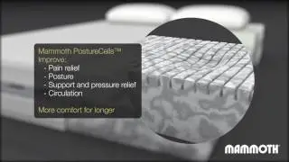 Mammoth Performance Sky 270 Mattress