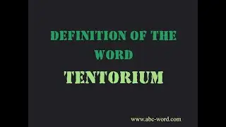 Definition of the word 