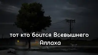 Не обижает людей тот, кто боится Всевышнего Аллаха!#islam #hadis #alhamdulillah