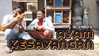 Ayam Kesayangan - Sketsa Komedi 56
