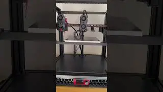New printer! First moves