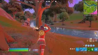 Fortnite_20220220010936