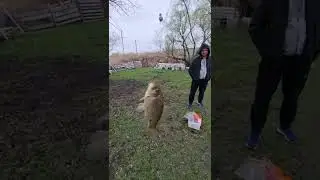 Ловим карасей