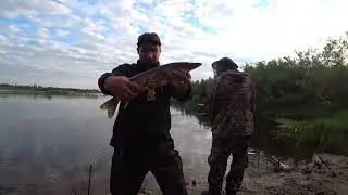 У НАС НА СЕВЕРЕ рыба клюет везде, всегда и всякая!!! СИБИРЬ, ТАЙГА, БЕШЕНЫЙ КЛЕВ!!!