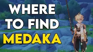 Where to catch Medaka Fish in Genshin Impact - Medaka Fishing Spots