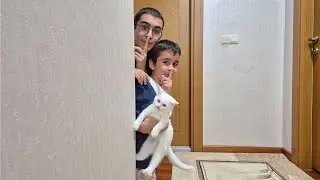 YAVRU KEDİ PAMUK İLE SAKLAMBAÇ OYNADIK!!