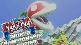 THE EUWCQ MEMES