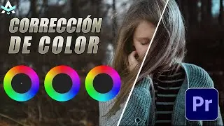Como Hacer una CORRECCIÓN de Color Avanzada en ADOBE PREMIERE PRO