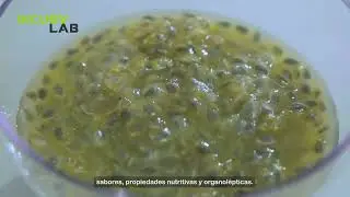 Incubalab - Selladora al Vacío