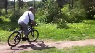 Лёшистый