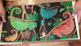 MY COLORING BOOK COLLECTION
