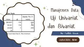 MENGAPLIKASI DATA SPSS 22 || UJI UNIVARIAT DAN BIVARIAT ||Fadillahas_
