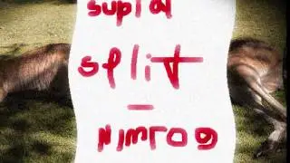 Nimrog  - Marsupial Split [Heavy Dub RELEASE!) [140 bpm]