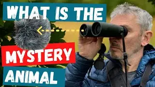 What Is The Mystery Animal... And Some New Kit