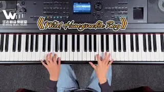 《Wild Honeysuckle Rag》🎹🎶#爵士入門#Jzaa piano#少兒鋼琴#一鏡到底 #電子Keyboard