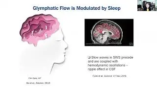 Why Sleep is Important for Brain Health | Webinar