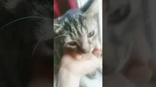 подпишись