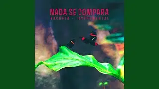 Nada se compara (Instrumental)