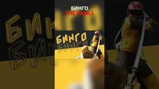 Стойте во весь рост|Бинго the finals