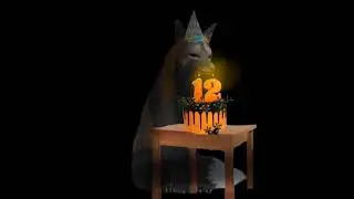 Happy Birthday...)
