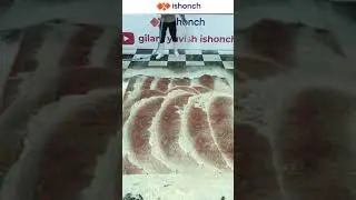 Gilam yuvish - стирка ковров - carpet washing