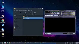 Install Winamp on Linux via PlayOnLinux
