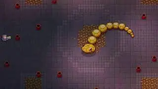 Enter the Gungeon
