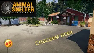 Приют для питомцев (Animal Shelter). Знакомство с игрой. Спасаем собак. #1
