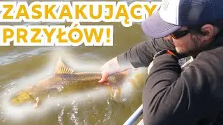 Co skrywa Warszawska Wisła? Piękny przyłów! Nowe PB! ft. Piotrek z Pleciony!