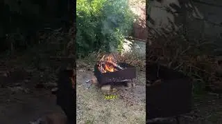 Соседка попросила помочь пожарить мясо. А где мясо? 