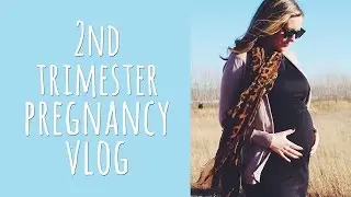 2nd Trimester Pregnancy Vlog