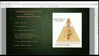 Проживание Жизненных Циклов. Дизайн Человека