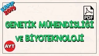 Genetik Mühendisliği ve Biyoteknoloji | AYT Biyoloji