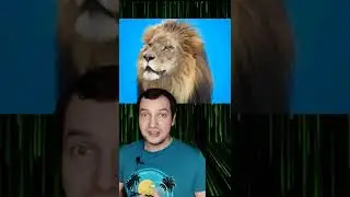 КОРОЛЬ ЛЕВ И ВСЯ ПРАВДА ПРО НЕГО 