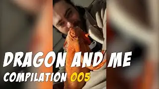 Dragon and Me - Compilation 005