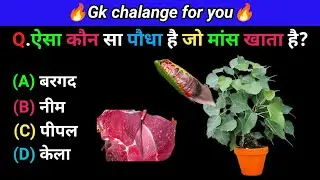 Gk questions and answers| gk quiz in Hindi| General knowledge in Hindi| gk fact|