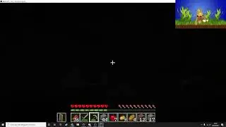 Live di Minecraft