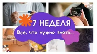 7 неделя беременности: изменения, признаки, особенности, выделения. Календарь беременности