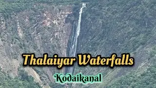 Thalaiyar Waterfalls | Kodaikanal | Tamilnadu #SultanTheRottweiler