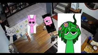 Pink sama crying