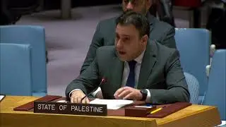 Palestinian Statement 29/DEC/2023 @ UNSC — Ambassador Majed Bamya