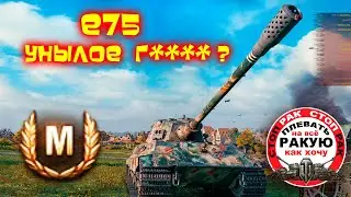 After the battle, I disassembled the E75 for SPARES/STOP RAK World of Tanks