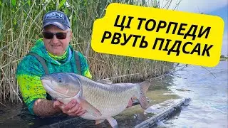 ЦІ ТОРПЕДИ РВУТЬ ПІДСАК. Хмільна кукурудза творить дива!