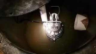 Wayne 1/3 HP sump pump