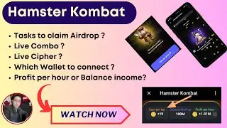 Hamster Kombat Important daily Tasks | Daily Cambo | Daily Cipher | wallet Connect hamster |Update