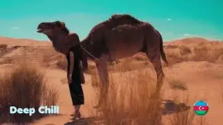 Мурад Садуев Скажи хоть слово