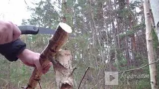 пилим новой пилой bahco laplander испытание в лесу