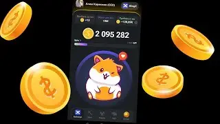 Как играть в Hamster Kombat и зарабатывать монетки?