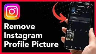 How to Remove Instagram Profile Picture