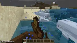 Minecraft Whale Watching